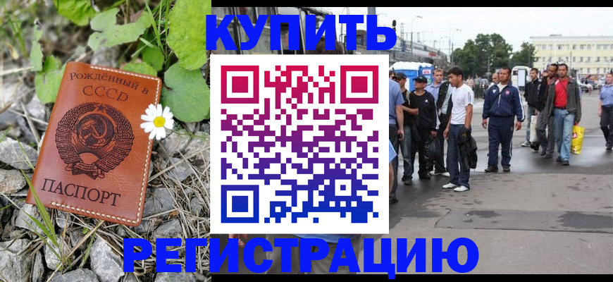 прописка гарантия в Дубне